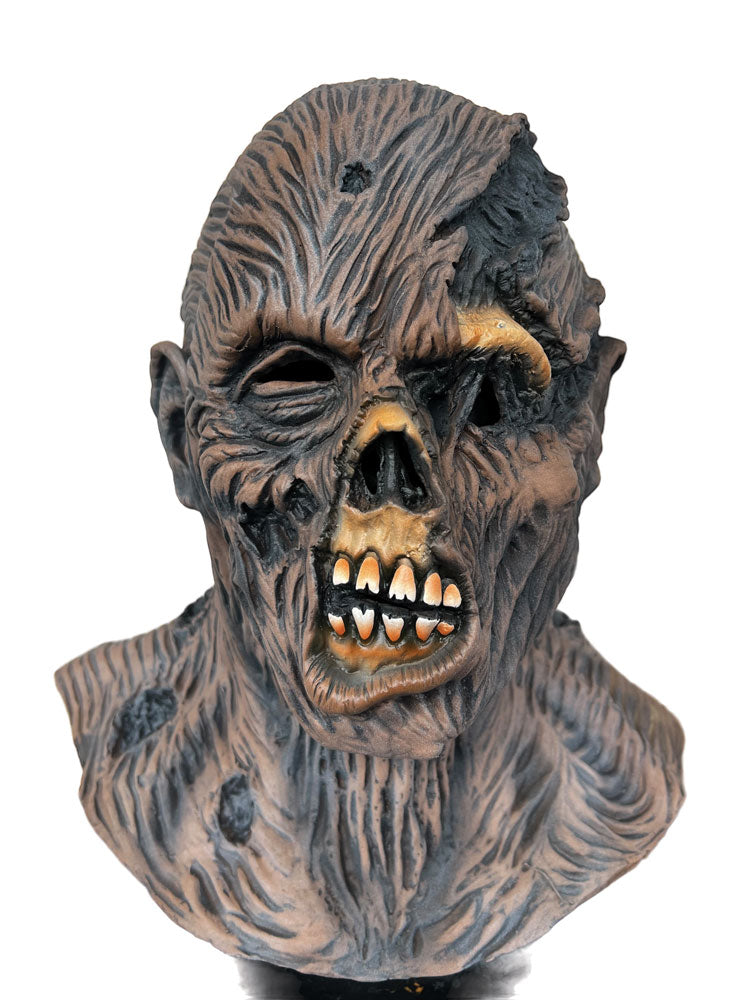 Rotting Jason Adult Mask